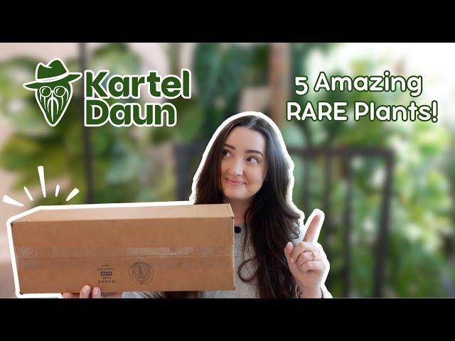 Surprise Unboxing From Kartel Daun! 5 Plants, Hoya & Anthurium 