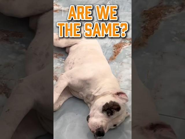 Are We The Same?⁉️ #relatable #pov #shorts #short #friends #fureverbff #fyp