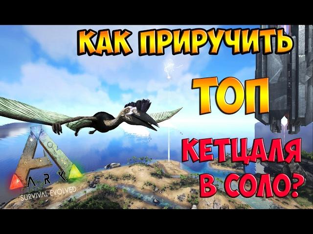 КАК ПРИРУЧИТЬ ТОП КЕТЦАЛЯ В СОЛО? (МЕТОД ЛОВУШКИ) ► Ark: Survival Evolved #7