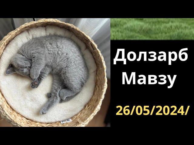 Аллох хайвонларни хисоб қилмайди Лекин бизни хисоб қилади?