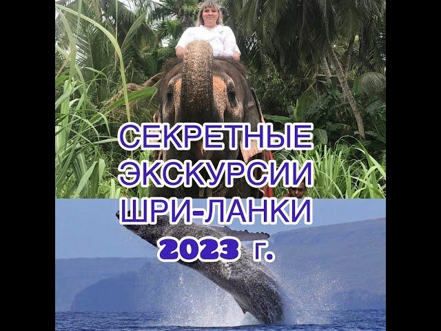 секретные экскурсии Шри-Ланки 2023 г.