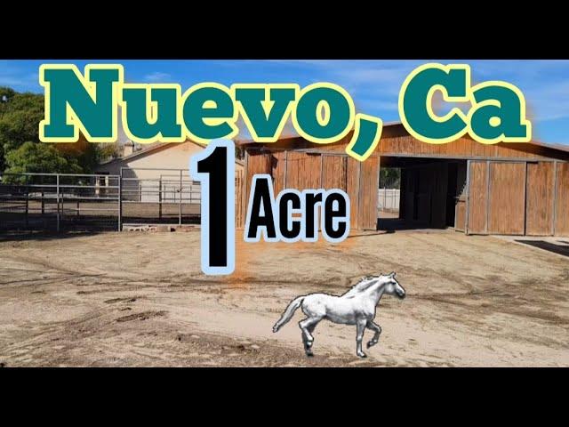   H O R S E   Property for sale in Nuevo Ca - 1 ACRE 