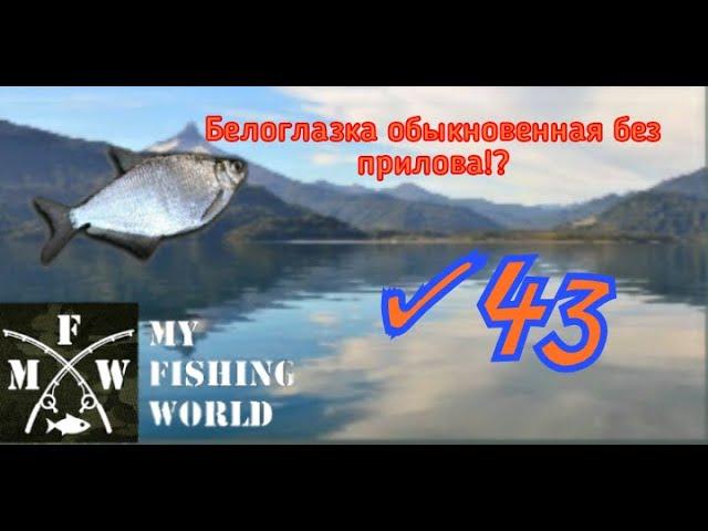 43)My Fishing World Белоглазка обыкновенная без прилова!?