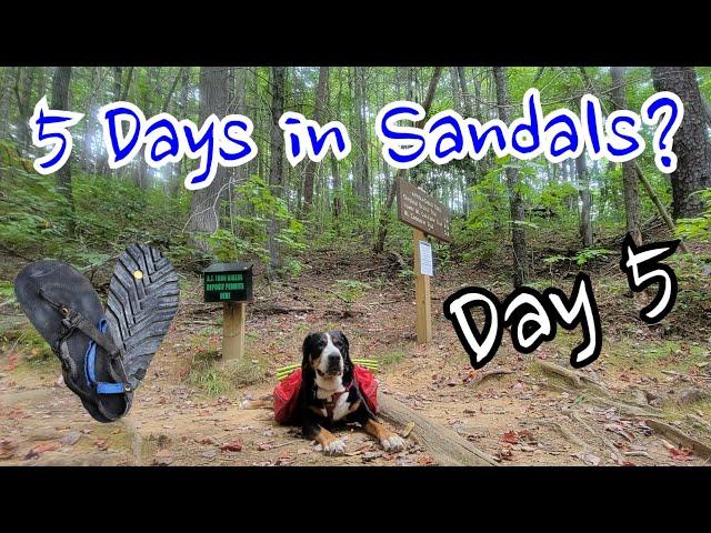 Day 5 - 5 Days Thru the Smokies in Sandals (Appalachian Trail)