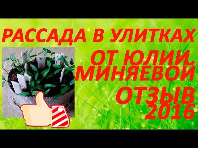 Рассада в улитках от Юлии Миняевой - отзыв 2016. Выращивание рассады перца, помидор, баклажан дома