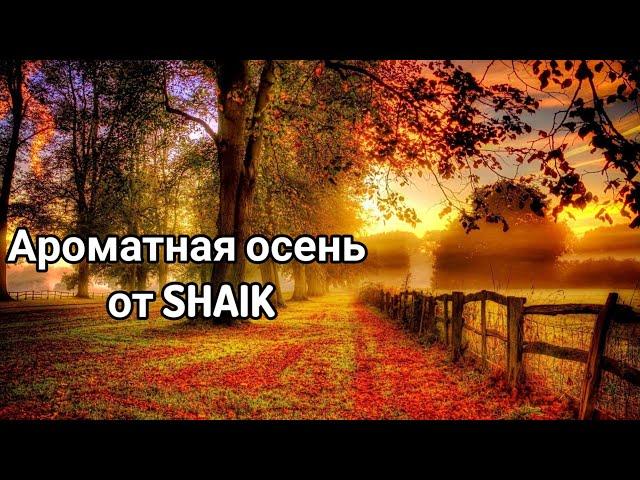 Новые ароматы от Shaik в моей коллекции