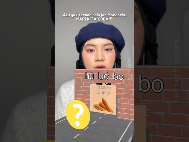 This is why I never learn Mandarin Chinese #kpopmeme #tiktokfilter #tiktoktrends #tiktokviral