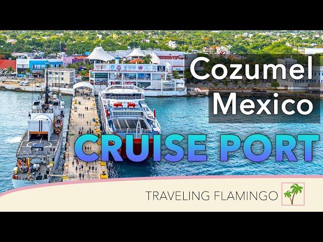  Cozumel Mexico Cruise Port  | What To Do In COZMEL!