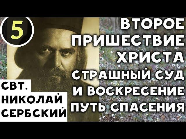 Второе пришествие Христа и Страшный Суд. Воскресение и Путь Спасения. Николай Сербский