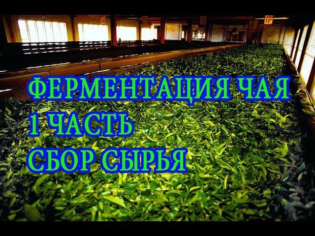 Начинаем ферментацию (часть 1). Fermentation. Инженер Андрей