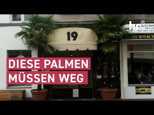 Streit um Palmen vor Friseursalon | maintower