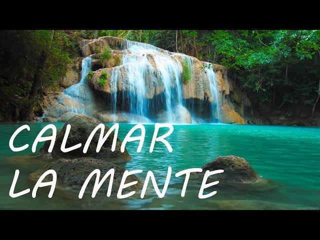 Relajación: Música para Relajarse y Calmar la Mente - Música de la Naturaleza