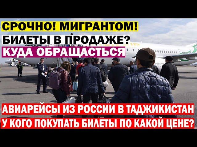 СРОЧНО! АВИАРЕЙСЫ ИЗ РОССИЯ В ТАДЖИКИСТАН. КАК КУПИТЬ БИЛЕТ ПО КАКОЙ ЦЕНЕ?