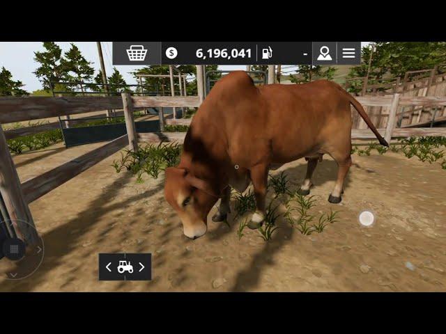 my cow  in my farm house  4k video #shorts #vlog