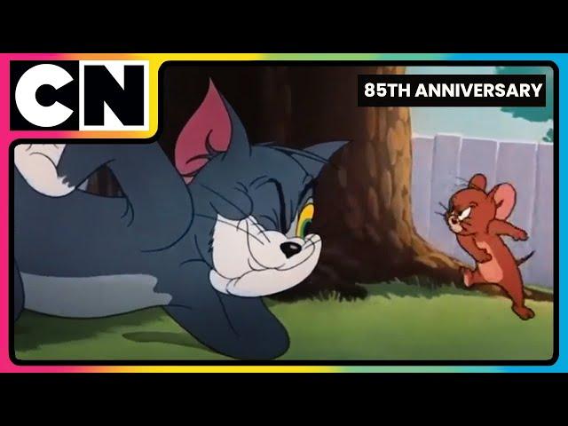 Tom and Jerry - Best Scenes Part 1| Trouble Has Two Names! | 85th Anniversary | @cnindia