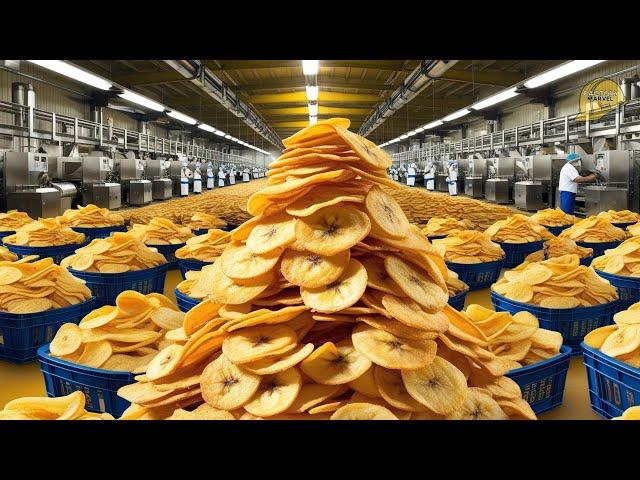 Mass Production of Banana Chips | Banana Chips Factory