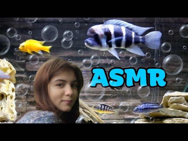 АСМРВ АКВАРИУМЕASMR IN THE AQUARIUM