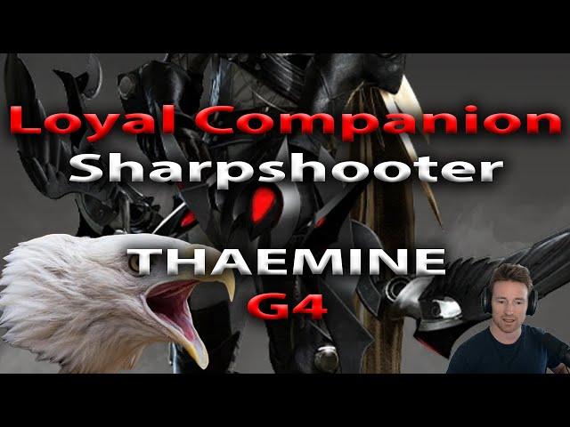 Gate 4 Thaemine - Loyal Companion Sharpshooter