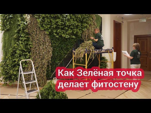 Как делают фитостену из искусственных растений