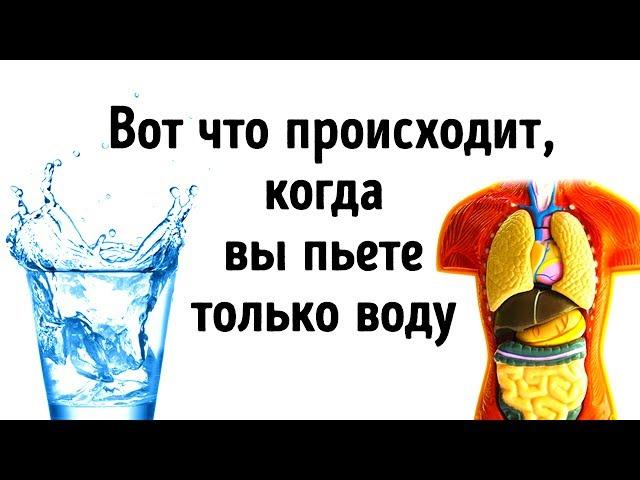 Что Будет, Если Все Напитки Заменить Водой