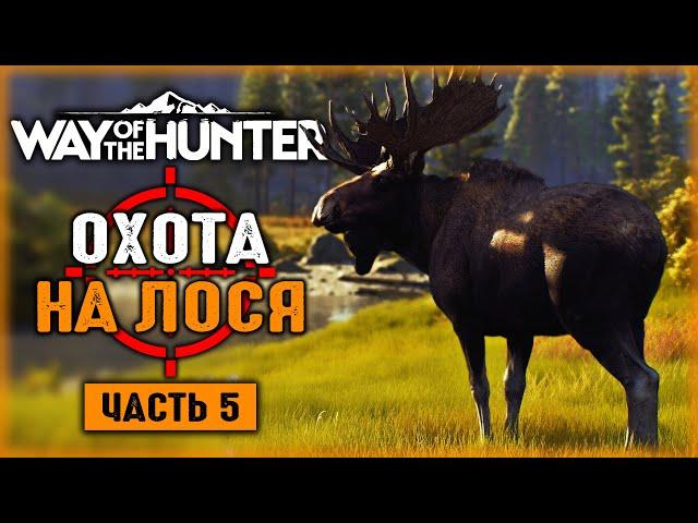 ЧАСТНЫЕ ОХОТНИЧЬИ УГОДЬЯ! ОХОТА НА ЛОСЯ! | Way of the Hunter  | Часть #5