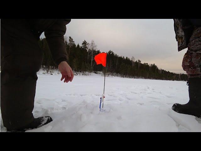 ЛЕНЕВСКОЕ ВОДОХРАНИЛИЩЕ! ПОПАЛИ НА АКТИВНЫЙ КЛЁВ ЩУКИ, СОРОГИ И ОКУНЯ! ЗИМНЯЯ РЫБАЛКА НА УРАЛЕ!