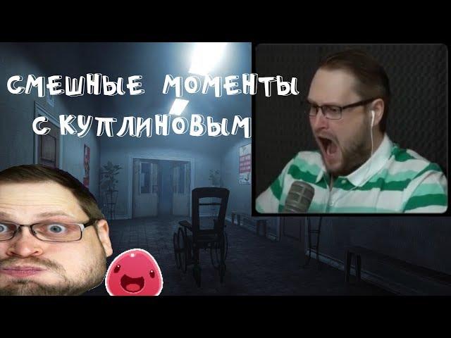 СМЕШНЫЕ МОМЕНТЫ С КУПЛИНОВЫМ В ИГРЕ SLIME RANCHER и RISE OF INSANITY