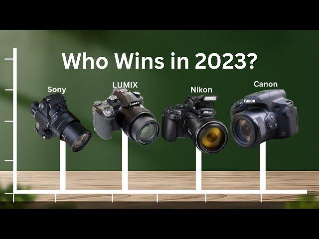 BEST Bridge Cameras: Your Ultimate Guide to Zoom Power & Compactness