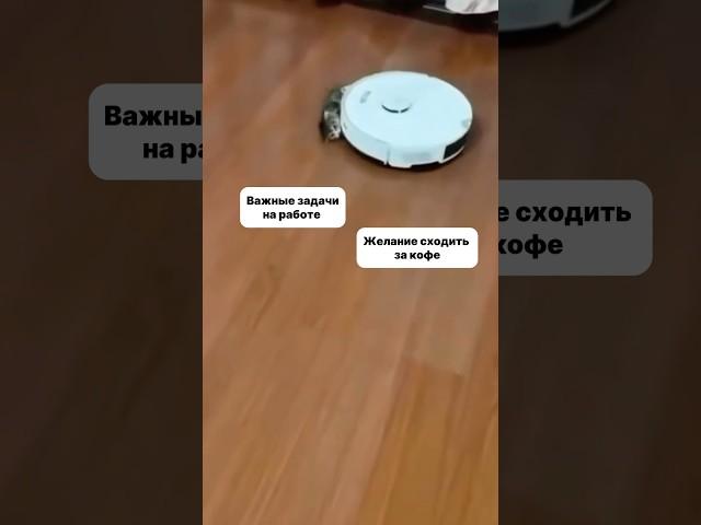 Солвит — онлайн-тренажер, где собрано все для эффективной подготовки к  собеседованию #айти