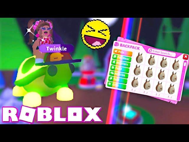 BUYING AND HATCHING 20 AUSSIE EGGS in Adopt Me Roblox!!!!! | Sister Gamerz