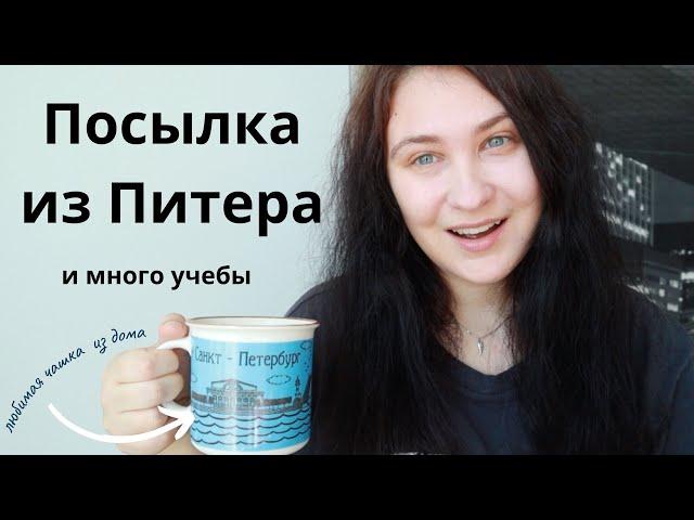 Любимые вещи, курсы и обычная рутина | Юля Пар