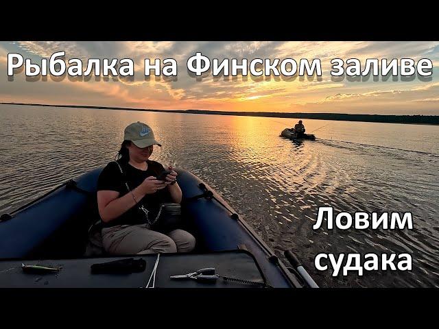 Рыбалка в Ленинградской области.Судак на Финском заливе