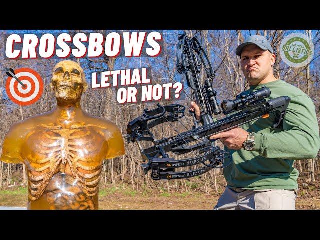 How Lethal Is A Crossbow ??? 