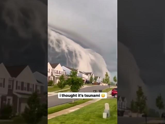 tsunami in city 