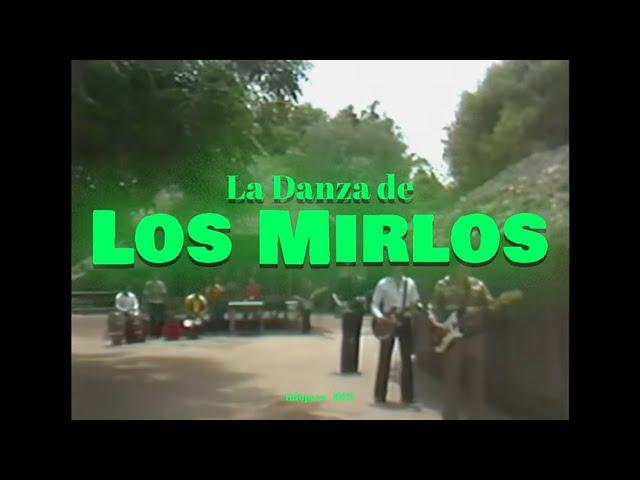 Los Mirlos - La Danza de Los Mirlos / Cumbia de Los Pajaritos (Video Oficial HD Remaster) (Infopesa)