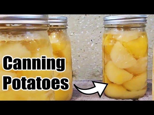 Preserving our Potato Harvest by Canning Them!