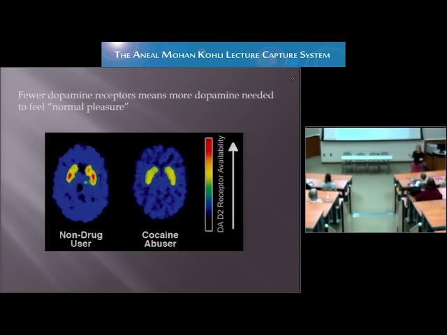 The Neurobiology of Addiction  Addiction 101 in Olson