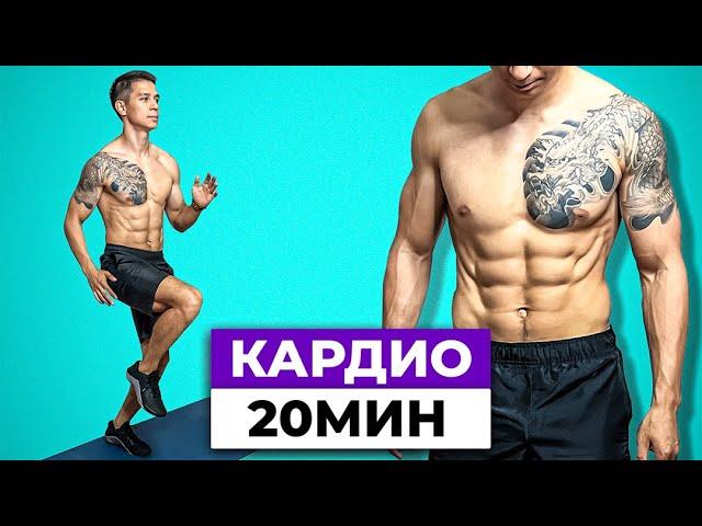 Home Cardio Full Body Workout - 20 Minutes with Warm Up and Cool Down