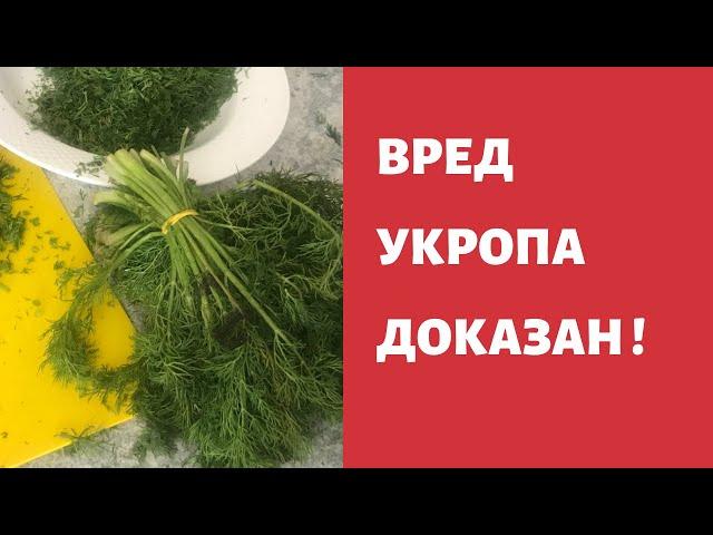 Вред укропа ДОКАЗАН ! А о пользе мы и сами знаем …