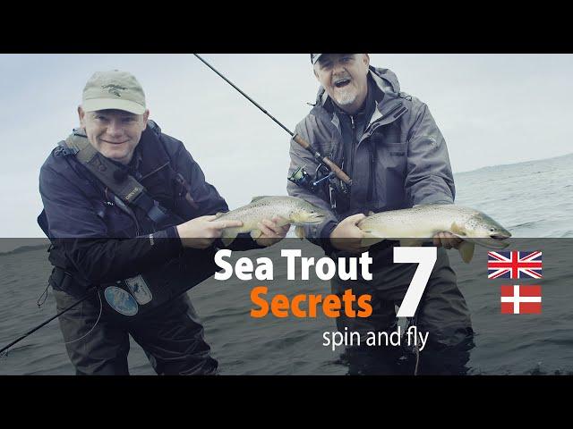 Sea Trout Secrets 7 spin and fly