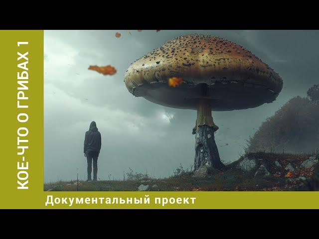 Кое-что о грибах. 1 Серия. Документальный Проект. Лучшие сериалы