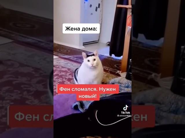 Когда Пришла ЗП l Девушка тут как тут