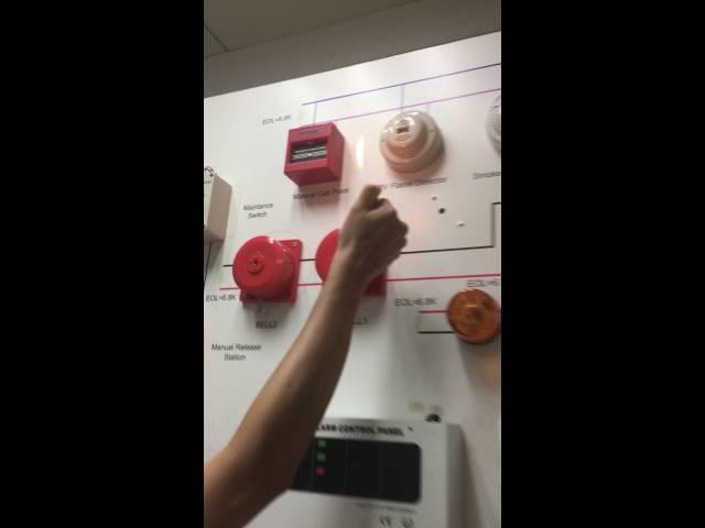 Asenware smoke detector test video