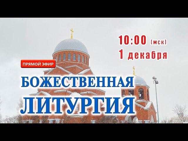 Прямая трансляция: Божественная литургия. 1 декабря 2024