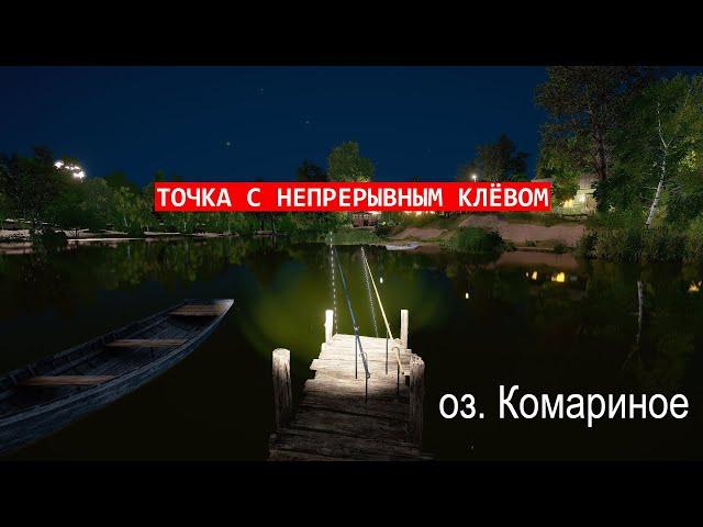 Точка с трофеям - ОКУНЬ, ГУСТЕРА, ЁРШ | оз.Комариное Русская Рыбалка 4