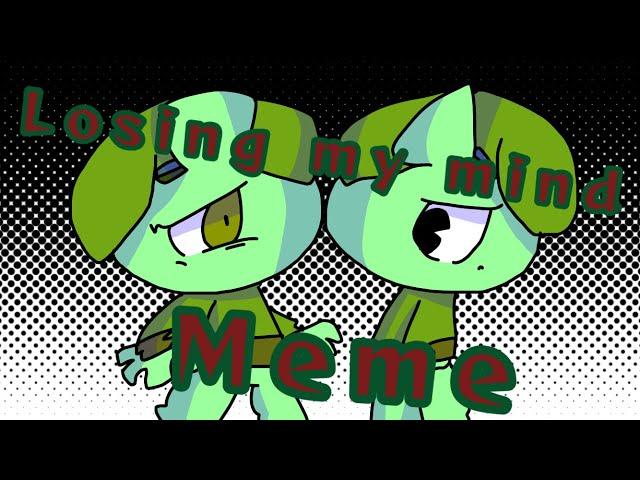 Losing my mind meme htf
