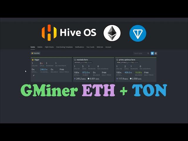 Gminer Dual Mining Settings  Eth + Ton Hiveos 2022