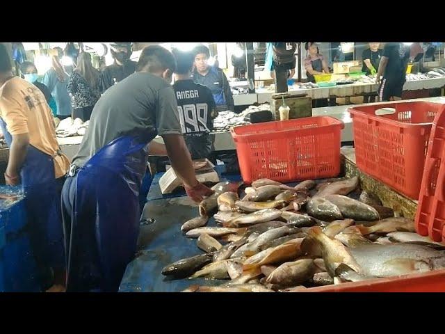 jual ikan hasil pancing teman" #pancingkulup