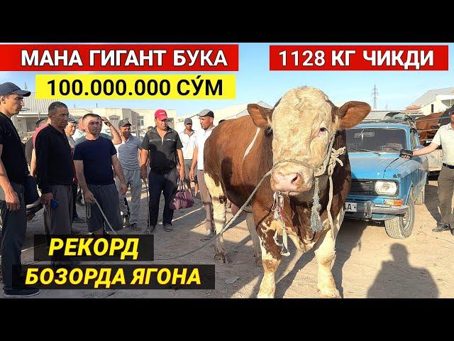 ХОРАЗМ МОЛ БОЗОРИ 100 МИЛИОНЛИК ГИГАНТ БУКА СОТИЛДИ САВДО ЗУ́Р БУГУН БОЗОР ТУ́ЛДИ !!! ХОРАЗМ БОЗОР