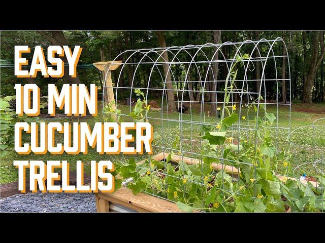 How To Make A Garden Trellis